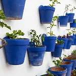 Apartamento La Calleja De La Corredera Córdoba