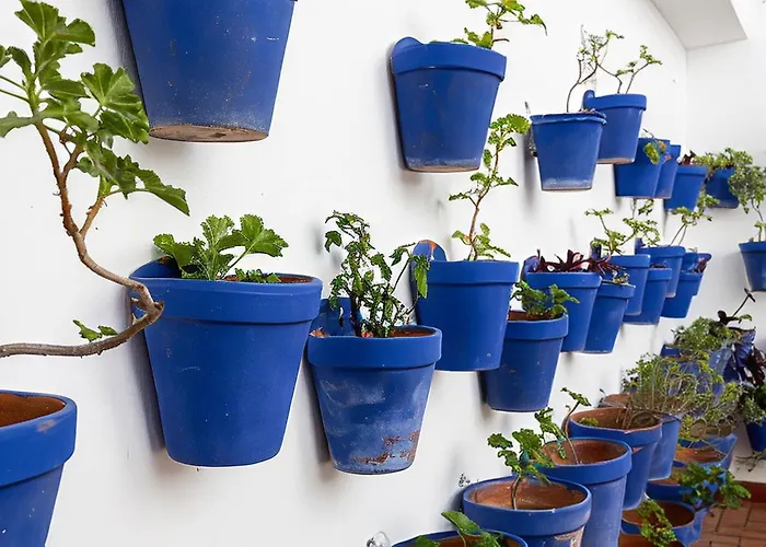 La Calleja De La Corredera Cordoue